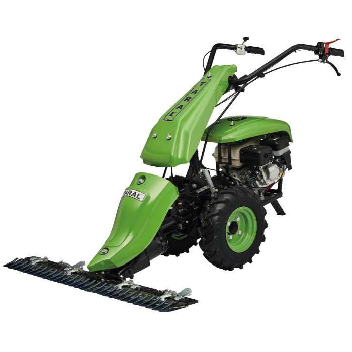 Taral 19S PMG 168FB Zıpkalı Çayır Biçme Makinası 6.5 Hp