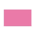 ZeroGym YB01 Yoga Blok - Pembe