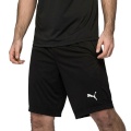 LIGA Training Shorts Puma Black-Puma Cepli