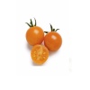 HİBRİT Cherry Domates Fidesi Turuncu 5 Adet