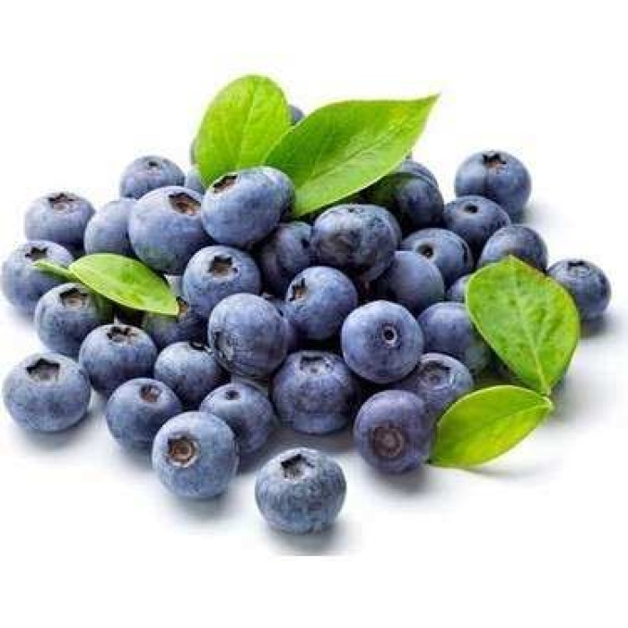 Tüplü Yaban Mersini(likapa,blueberry,maviyemiş)  (100 adet)Fidanı