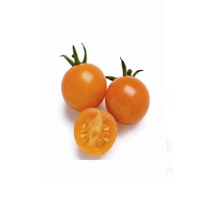 HİBRİT Cherry Domates Fidesi Turuncu 5 Adet