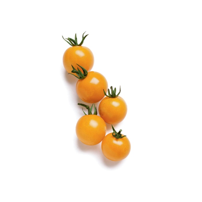 HİBRİT Cherry Domates Fidesi Turuncu 5 Adet