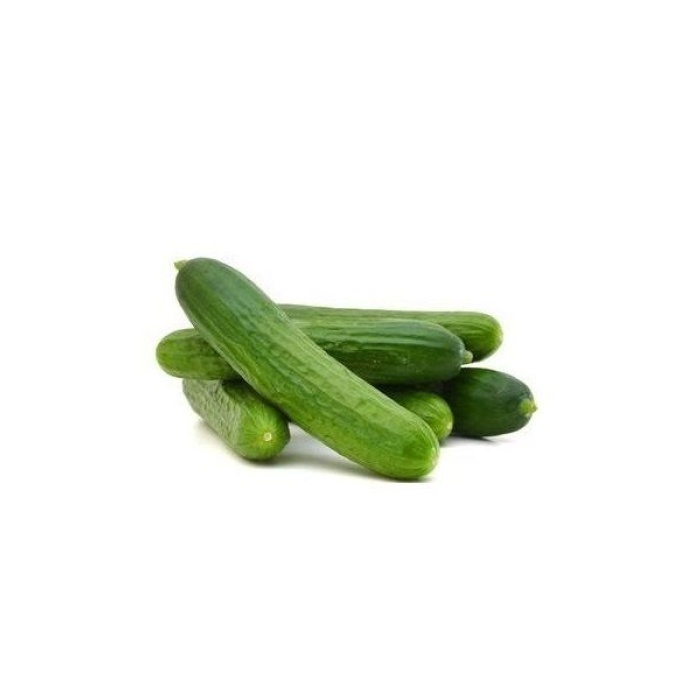 HİBRİT Salatalık Fidesi 5 Adet