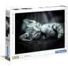 Clementoni Kedi Yavruları 1000 Parça High Quality Collection Yetişkin Puzzle Kitty Clemkit