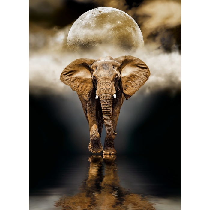 Clementoni The Elephant 1000 Parça High Quality Collection Yetişkin Puzzle