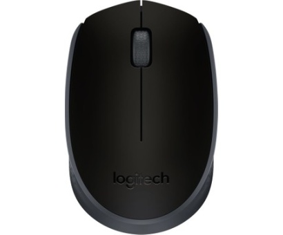 Logitech M171 USB Alıcılı Kablosuz Kompakt Mouse - Siyah
