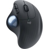 Logitech Ergo M575 Wireless & Bluetooth Kablosuz Trackball Mouse 910-005872