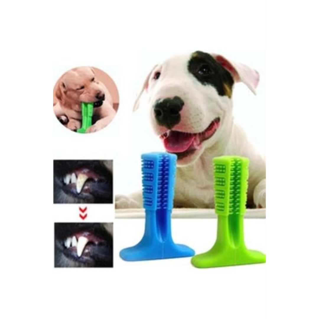 BUFFER® Köpek Diş Temizleyici ve Kaşıyıcı Sağlıklı Küçük Boy Oyuncak