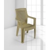 Plastik Kollu Sandalye - 3 Renk Seçeneği