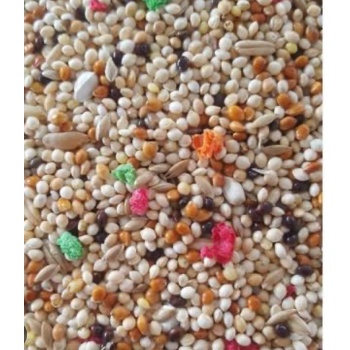 FUNNY BİRDS 25 KG MUHABBET YEMİ MEYVELİ