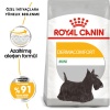 Royal Canin Mini Dermacomfort  Köpek Maması 3 Kg
