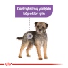 Royal Canin Sterilised Pouch Kısır Köpek Yaş Maması 85gr  KOLİ (12 ADET)