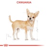 Royal Canin Chihuahua Yetişkin Köpek Pouch Yaş Maması 85 Gr KOLİ (12 ADET)