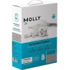 Molly Karbonlu Topaklaşan Kedi Kumu 10 LT