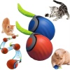 Chat İnteraktif Hareketli Top