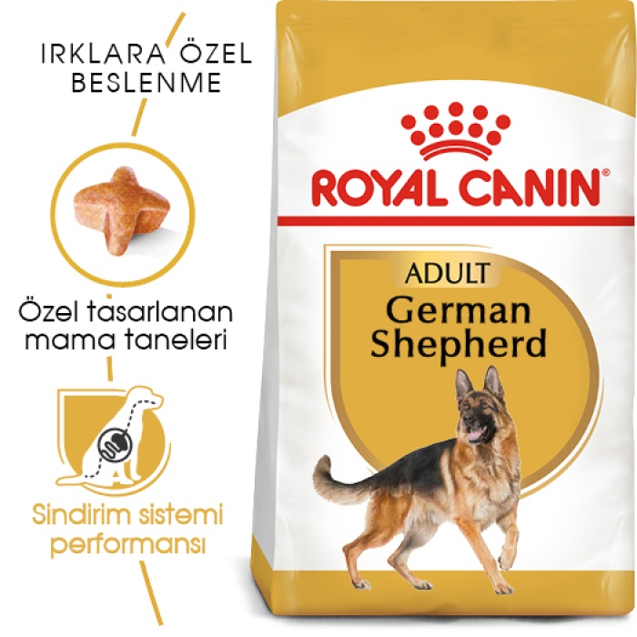 Royal Canin German Shepherd Alman Kurdu Yetişkin Köpek Maması 11kg