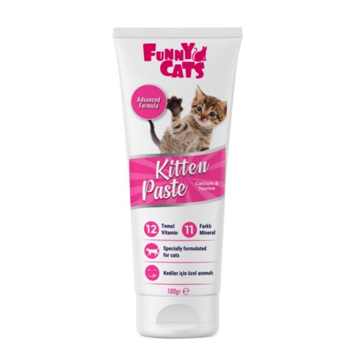 FUNNY CATS KİTTEN PASTE 100GR