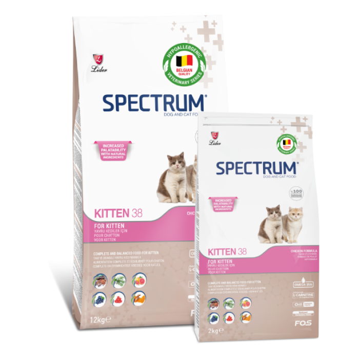 SPECTRUM  KITTEN 38 YAVRU KEDI MAMASI 12 KG