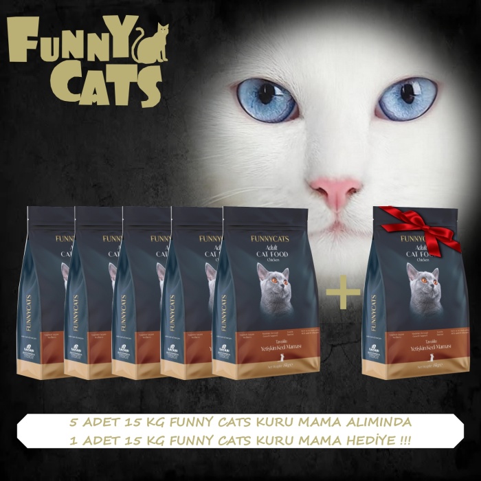 FUNNY CATS TAVUKLU YETİŞKİN KEDİ MAMASI 15 KG 5+1 KAMPANYA