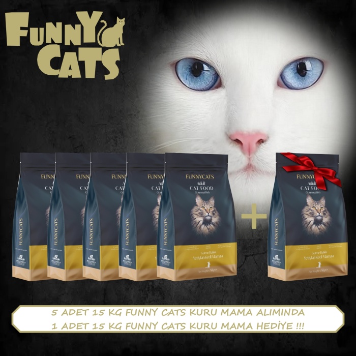 FUNNY CATS GURME YETİŞKİN KEDİ MAMASI 15 KG 5+1 KAMPANYA