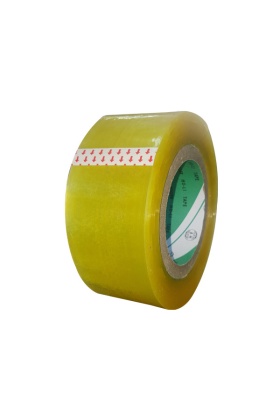 Koli Bandı / 5,5 cm (220 mt)