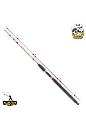 İki Parça Dolgu Olta Kamışı - Crystal - 120 cm 100/250 gr - Bauer