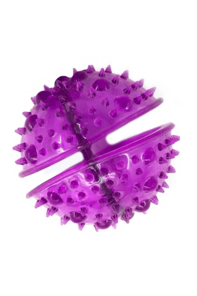 Royalist WB17059 Köpek Oyun Topu