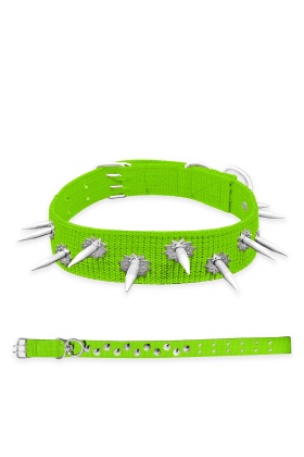 Dokuma Çivili Köpek Boyun Tasması - 5*80 cm - Yeşil