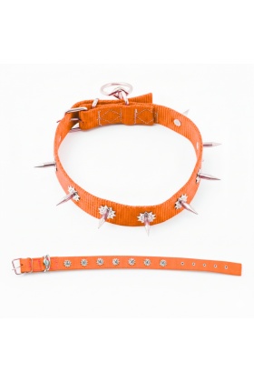 Dokuma Çivili Köpek Boyun Tasması - 4*70 cm - Turuncu