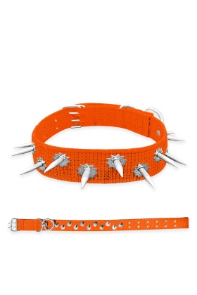 Dokuma Çivili Köpek Boyun Tasması - 5*80 cm - Turuncu