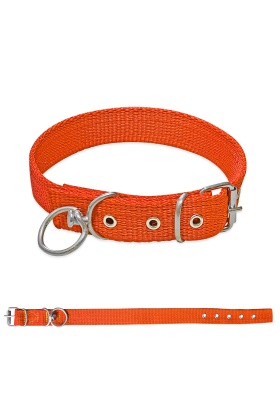 Savex Dokuma Köpek Boyun Tasması Turuncu 2.5*50 cm
