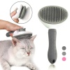 Kedi Tarağı - Otomatik Temizlenen Tuşlu - Gri (8601)