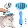 Kedi Tarağı - Otomatik Temizlenen Tuşlu - Mavi (8601)