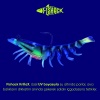 Silikon Karides Yem - 7g 75mm - Fishack Krillax - UV Boyalı - Neon Shrimp