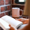 Çelik Mug Termos - Igloo - Cork - 350ml - Somon - 205696