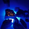 Uv Ledli El Feneri - Powerdex - Su Geçirmez - 20 W - Siyah - PD-9007