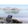 DJI Mini 3 Pro (GL) (Standart Kumandalı) Drone