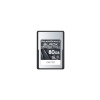 Delkin Devices 80GB Black Cfexpress Type A Hafıza Kartı