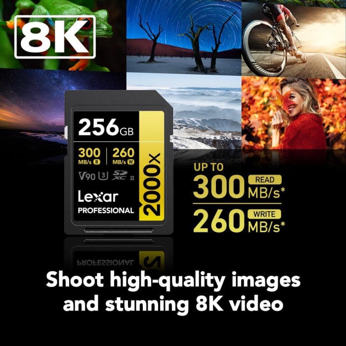 Lexar 256GB 2000x Professional SDXC RDR UII Hafıza Kartı