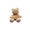 35 CM PATİLEN KALPLİ AYI -HLY