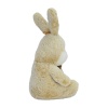 35 CM TAVŞAN PELUŞ -HLY