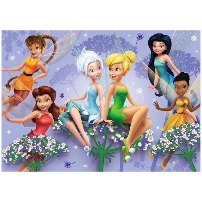 100 Parça Fairies Yapboz