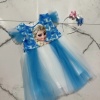 Elsa Baskılı  Kız Elbise 2/9 yaş
