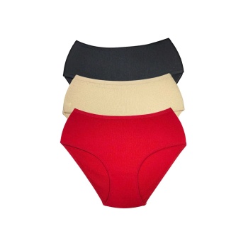 3 Adet Kadın Yüksek Bel Ribana Bato Külot S027