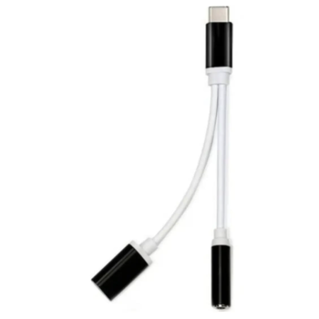 ZR310 Ft Ac 20 Type-C 2 İn 1 Çevirici