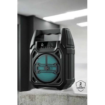 Kablosuz 6.5 İnç TWS Bluetooth Hoparlör