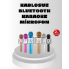 Kablosuz Bluetooth Karaoke Mikrofon  Yankı Efektli