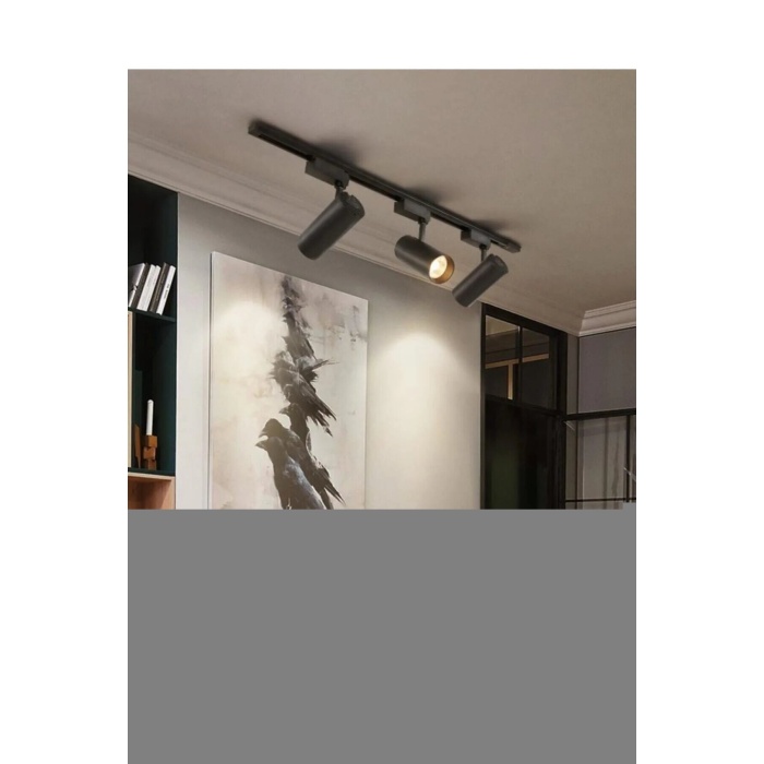 HOROZ BASRA-30W GÜNIŞIĞI RAY ARMATÜR (SİYAH KASA)