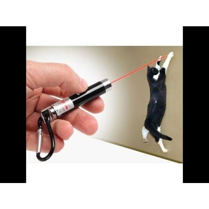 4 Yedek Başlıklı Pilli Kedi Oyuncağı Lazer Anahtarlık